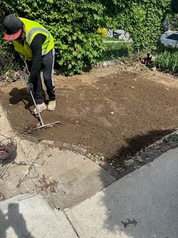 Transforming Bare Soil to Lush Lawn Delight