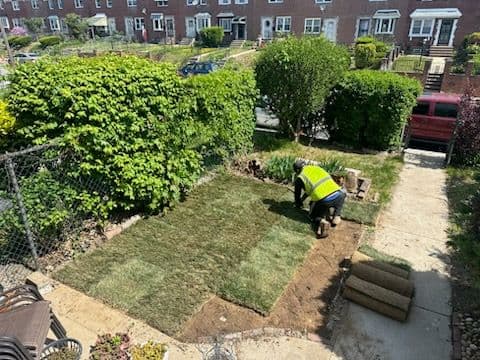 Transforming Bare Soil to Lush Lawn Delight