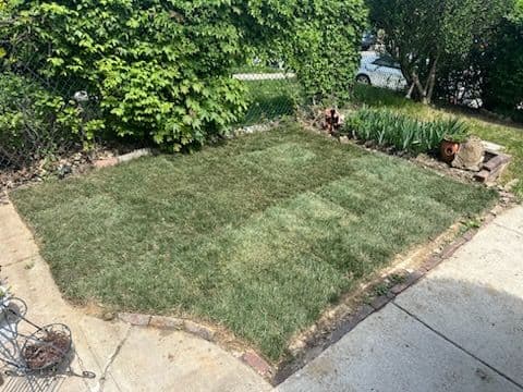 Transforming Bare Soil to Lush Lawn Delight